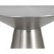 Carmel 19 X 19 inch Stainless Steel End Table